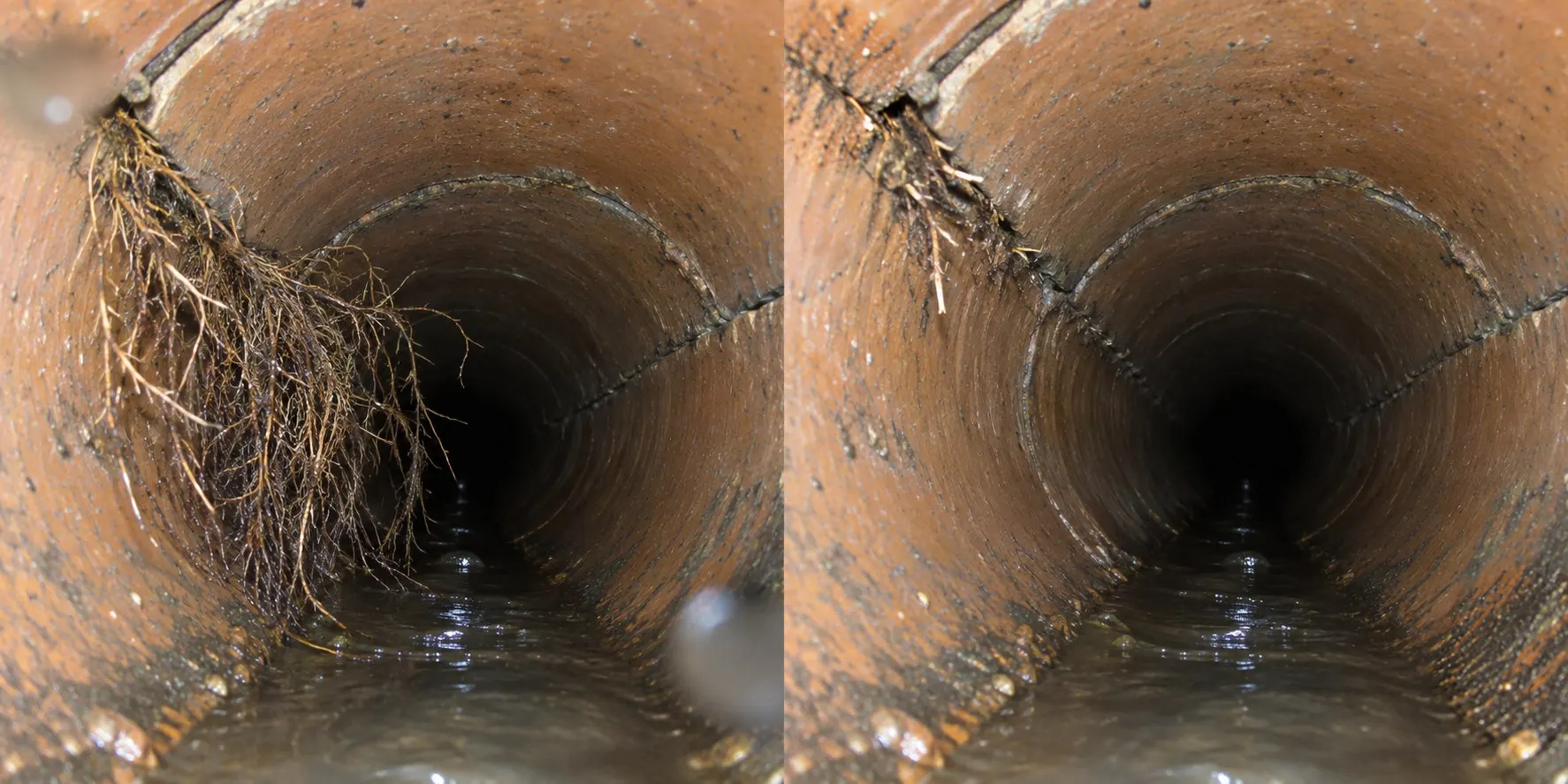 Condition illustration: roots before removal at left and after root cutting at right, with the original pipe surface and joints retained.
